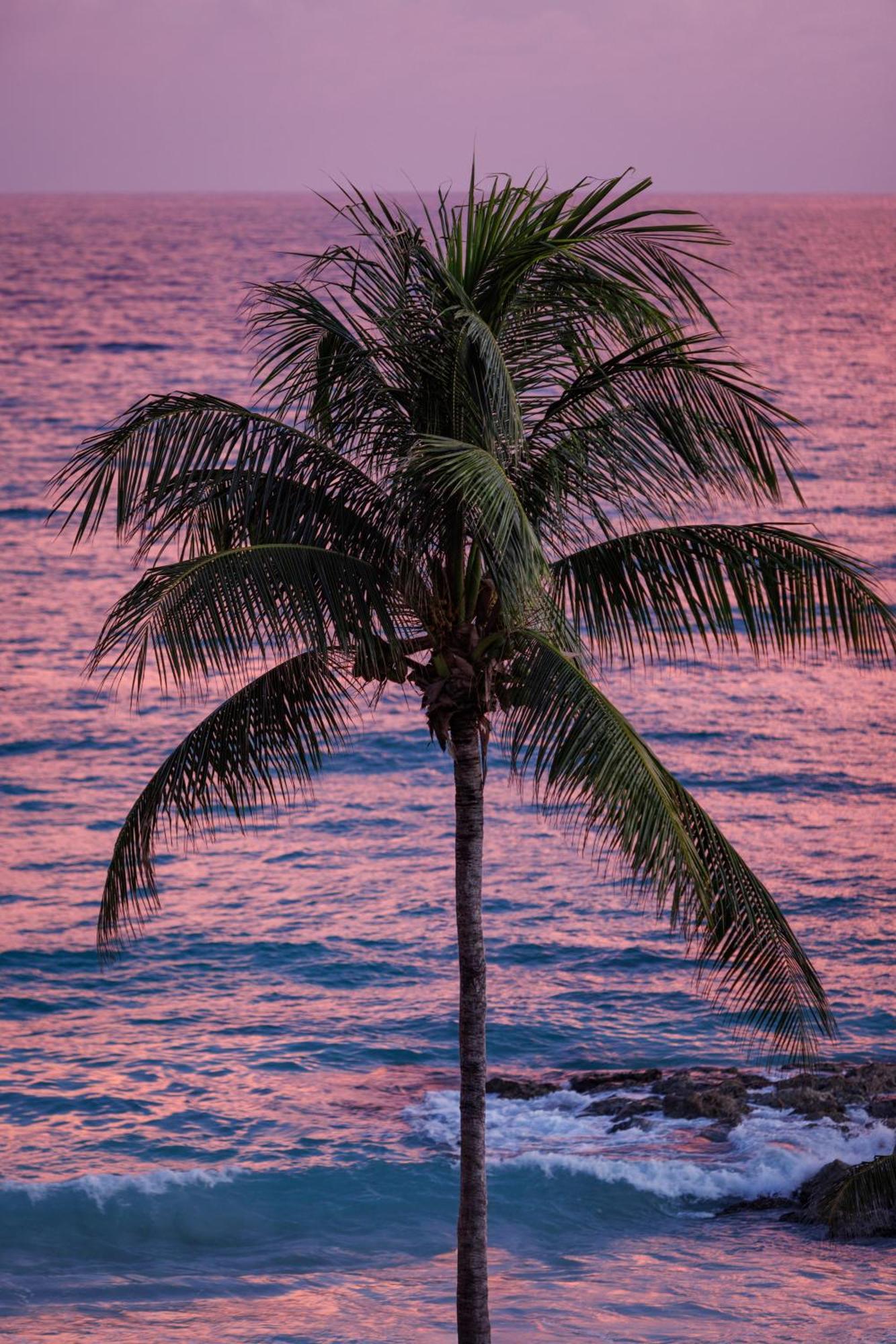 Sandals Barbados All Inclusive - Couples Only (Adults Only) ไครสต์เชิร์ช ภายนอก รูปภาพ